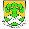 Neustadt/VfB AE II