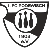 SpG 1. FC Rodewisch/Eintracht Auerbach