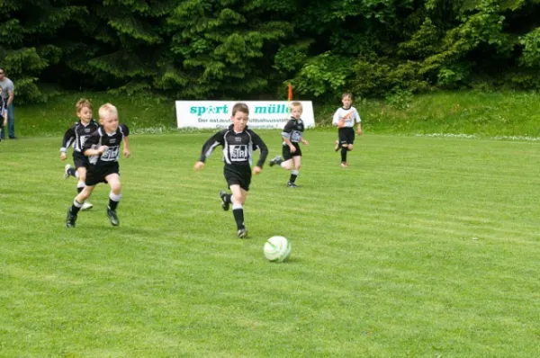 G-Jugend Turnierrunde 2010/2011 in Rodewisch