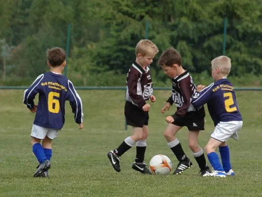 G-Jugend Turnierrunde 2010/2011 in Treuen