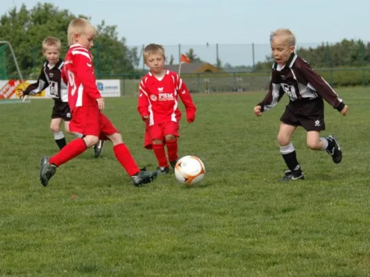 G-Jugend Turnierrunde 2010/2011 in Treuen