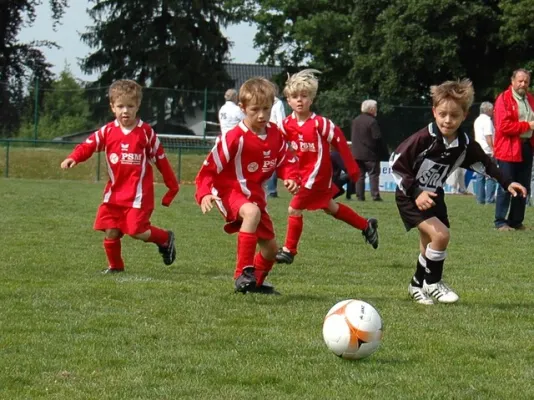 G-Jugend Turnierrunde 2010/2011 in Treuen