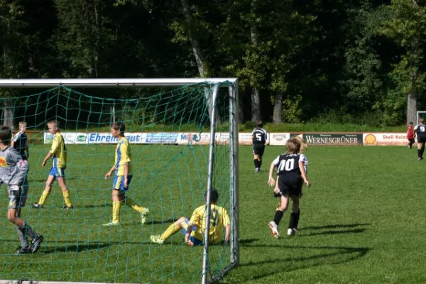 D-Jugend in Lengenfeld