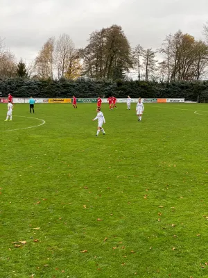 07.11.2021 SV Schreiersgrün vs. 1.FC Rodewisch