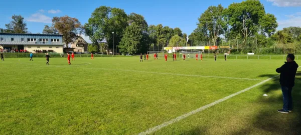 17.09.2022 VfB Plauen Nord vs. 1.FC Rodewisch