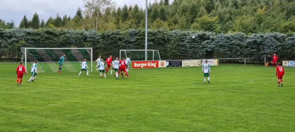 01.10.2022 SV Schreiersgrün vs. 1.FC Rodewisch
