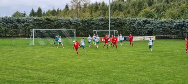 01.10.2022 SV Schreiersgrün vs. 1.FC Rodewisch