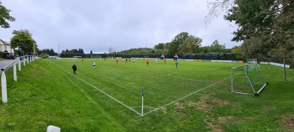 01.10.2022 SV Schreiersgrün vs. 1.FC Rodewisch