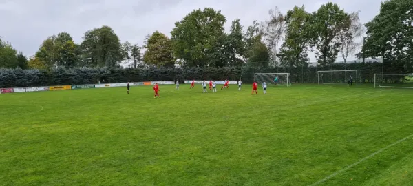 01.10.2022 SV Schreiersgrün vs. 1.FC Rodewisch