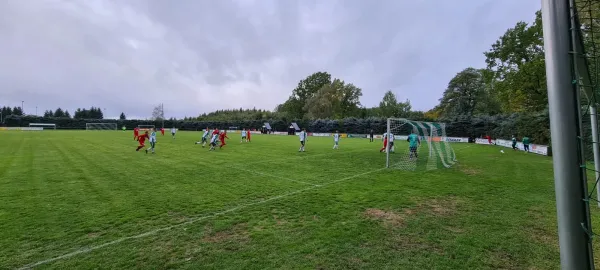 01.10.2022 SV Schreiersgrün vs. 1.FC Rodewisch