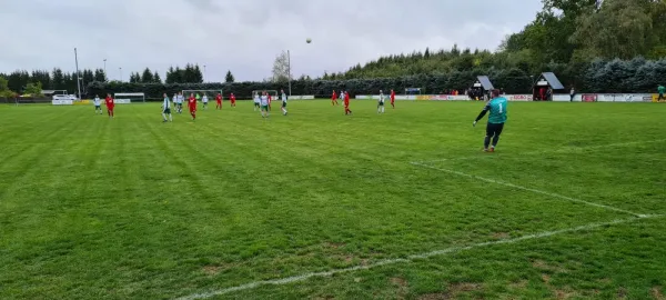01.10.2022 SV Schreiersgrün vs. 1.FC Rodewisch