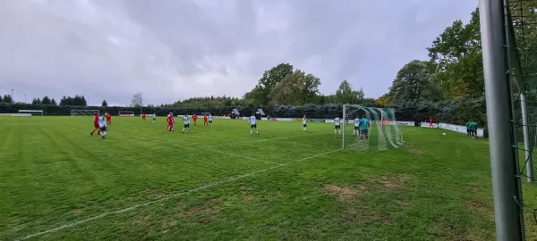 01.10.2022 SV Schreiersgrün vs. 1.FC Rodewisch