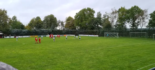 01.10.2022 SV Schreiersgrün vs. 1.FC Rodewisch