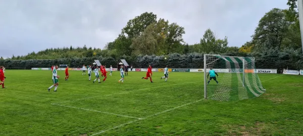 01.10.2022 SV Schreiersgrün vs. 1.FC Rodewisch