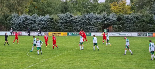 01.10.2022 SV Schreiersgrün vs. 1.FC Rodewisch
