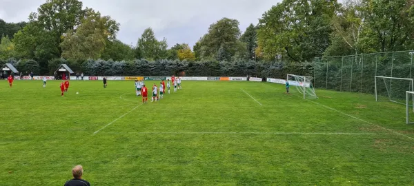 01.10.2022 SV Schreiersgrün vs. 1.FC Rodewisch