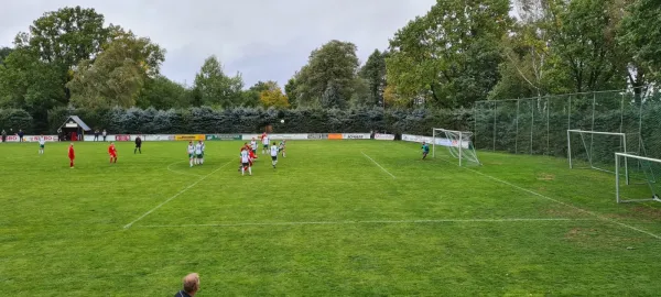 01.10.2022 SV Schreiersgrün vs. 1.FC Rodewisch