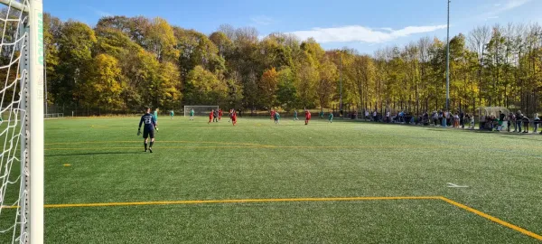 30.10.2022 1.FC Rodewisch vs. BSV 53 Irfersgrün