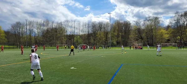 23.04.2023 1.FC Rodewisch vs. VfB Plauen Nord