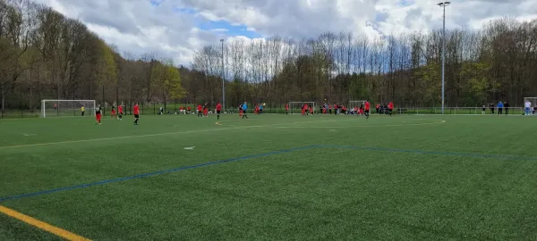 23.04.2023 1.FC Rodewisch vs. VfB Plauen Nord