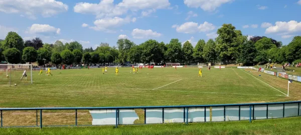 18.06.2023 1.FC Rodewisch vs. VfB Schöneck 1912