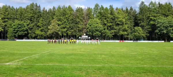 13.08.2023 FC Werda 1921 vs. 1.FC Rodewisch