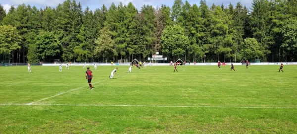 13.08.2023 FC Werda 1921 vs. 1.FC Rodewisch