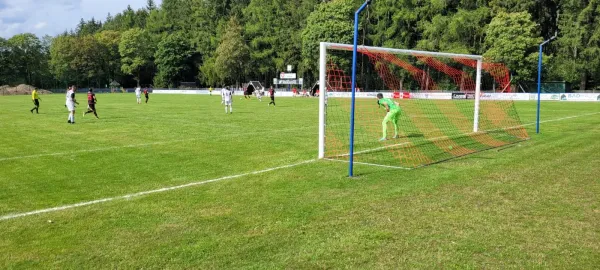 13.08.2023 FC Werda 1921 vs. 1.FC Rodewisch