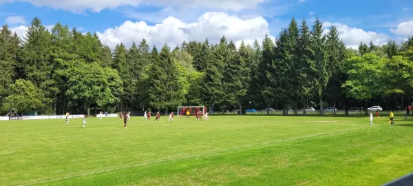 13.08.2023 FC Werda 1921 vs. 1.FC Rodewisch