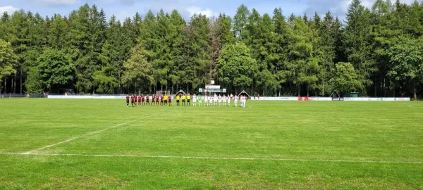 13.08.2023 FC Werda 1921 vs. 1.FC Rodewisch