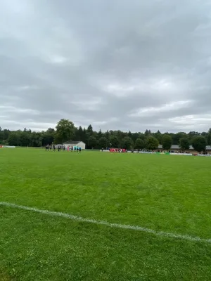 27.08.2023 1.FC Rodewisch vs. BC Erlbach 1919