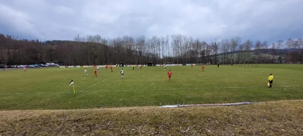 17.02.2024 BC Erlbach 1919 vs. 1.FC Rodewisch