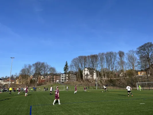 17.03.2024 1.FC Rodewisch vs. BSV 53 Irfersgrün