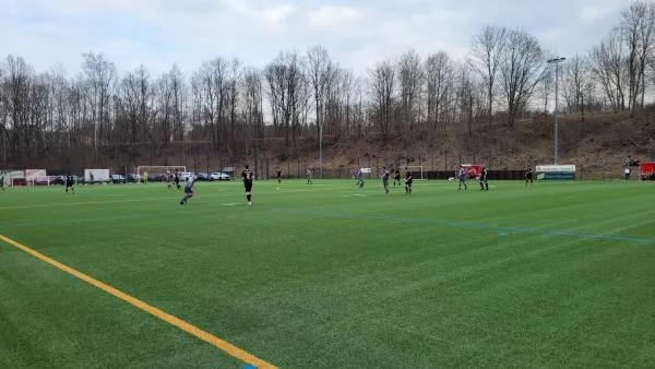 23.03.2025 VfB Lengenfeld vs. 1.FC Rodewisch