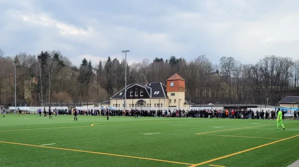 23.03.2025 VfB Lengenfeld vs. 1.FC Rodewisch