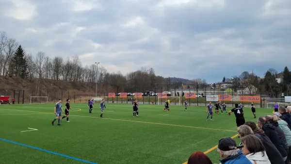 23.03.2025 VfB Lengenfeld vs. 1.FC Rodewisch