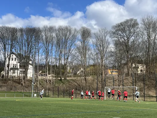 06.04.2025 1.FC Rodewisch vs. SG Rotschau