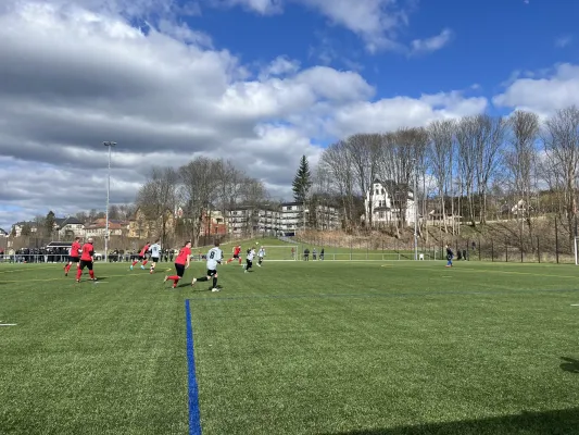 06.04.2025 1.FC Rodewisch vs. SG Rotschau