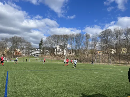 06.04.2025 1.FC Rodewisch vs. SG Rotschau