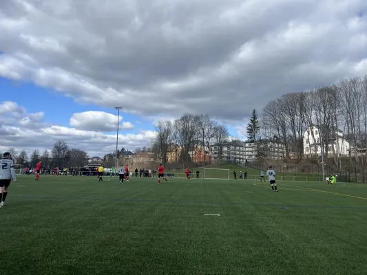 06.04.2025 1.FC Rodewisch vs. SG Rotschau