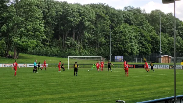 01.06.2025 1.FC Rodewisch vs. VfB Schöneck 1912