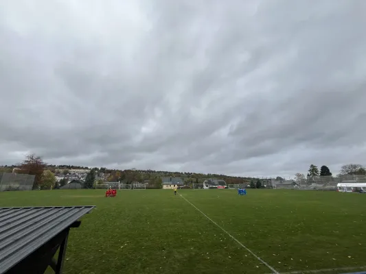 25.10.2025 FSV Ellefeld vs. 1.FC Rodewisch