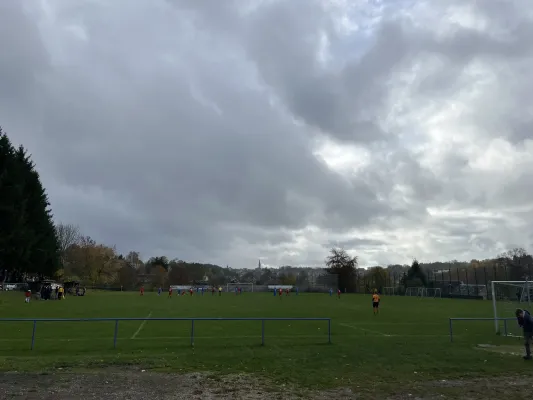 25.10.2025 FSV Ellefeld vs. 1.FC Rodewisch