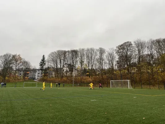 09.11.2025 1.FC Rodewisch vs. Reichenbacher FC II