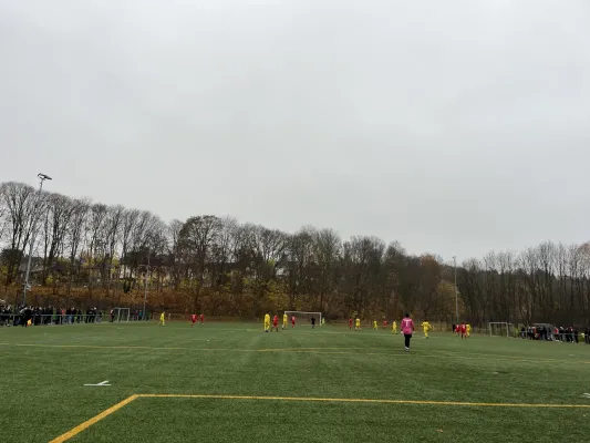 09.11.2025 1.FC Rodewisch vs. Reichenbacher FC II