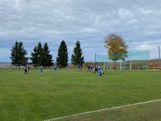 01.11.2025 VfB Großfriesen vs. 1.FC Rodewisch