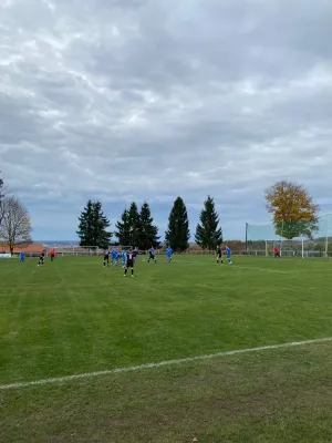 01.11.2025 VfB Großfriesen vs. 1.FC Rodewisch