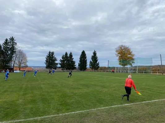 01.11.2025 VfB Großfriesen vs. 1.FC Rodewisch