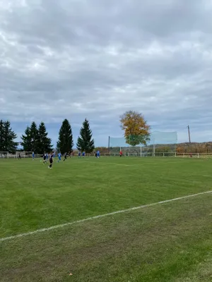 01.11.2025 VfB Großfriesen vs. 1.FC Rodewisch