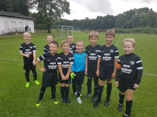 11.08.2017 1.FC Rodewisch vs. SG Jößnitz II